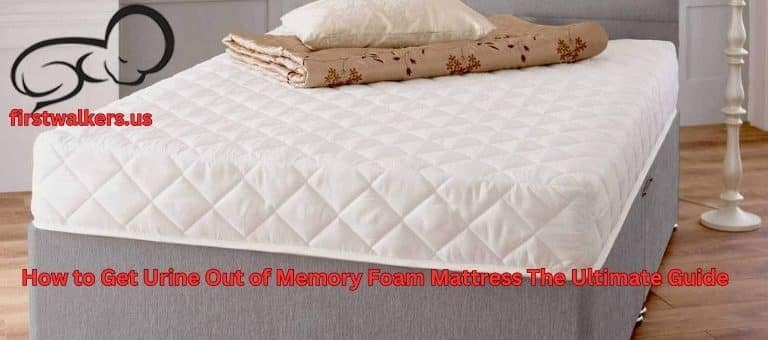 How to Get Urine Out of Memory Foam Mattress The Ultimate Guide